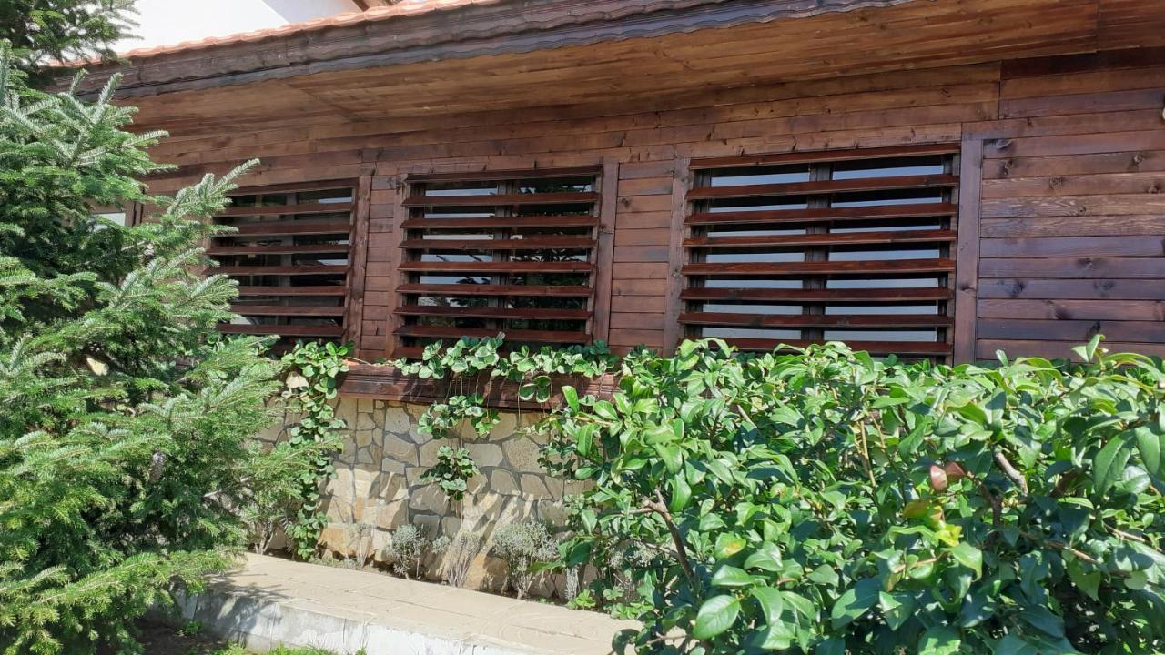 ספרבה בניה Guesthouse Dida מראה חיצוני תמונה