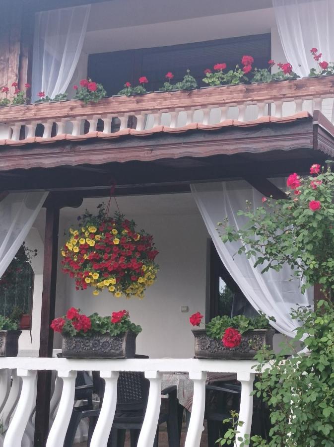 ספרבה בניה Guesthouse Dida מראה חיצוני תמונה
