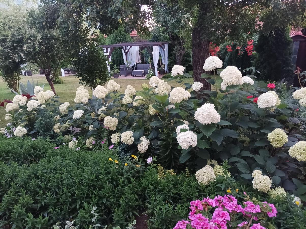 ספרבה בניה Guesthouse Dida מראה חיצוני תמונה